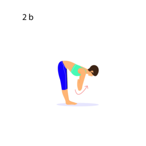 tms