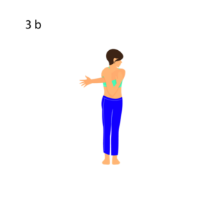 tms